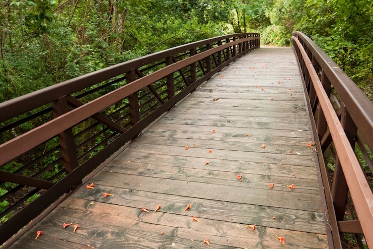 Munson school consultant