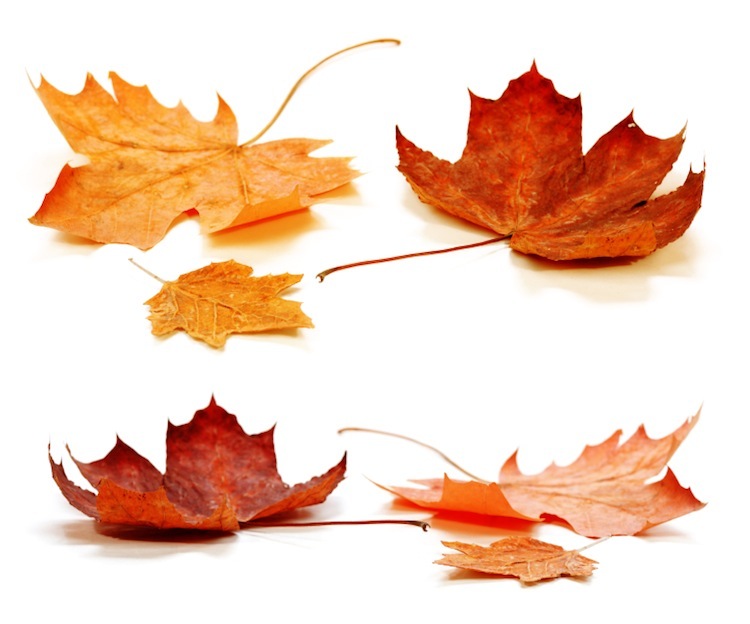 fall conference munson